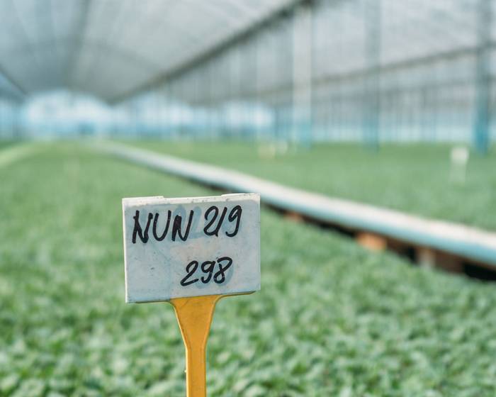 Agricultores y Agrónomos de Pomì: un dúo perfecto