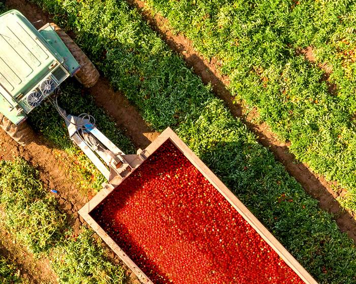 The smart way to describe a label