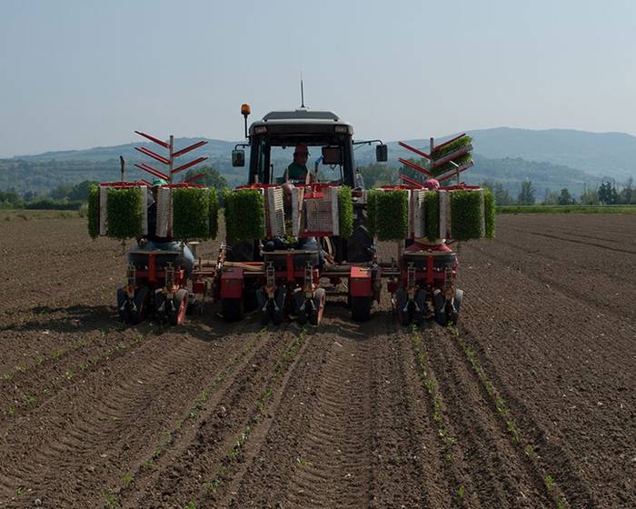 Productivity and Ecological Footprint: a balance which saves the planet.