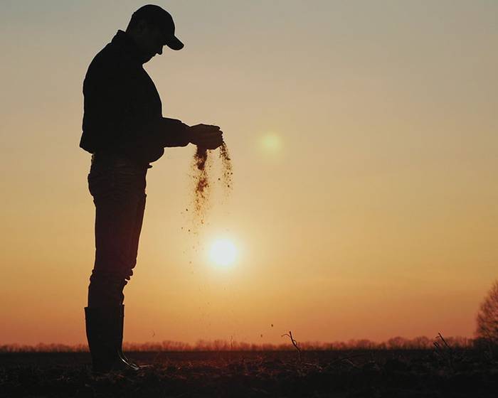 Meet Our Farmers: Pomì takes care of those who take care of tomatoes