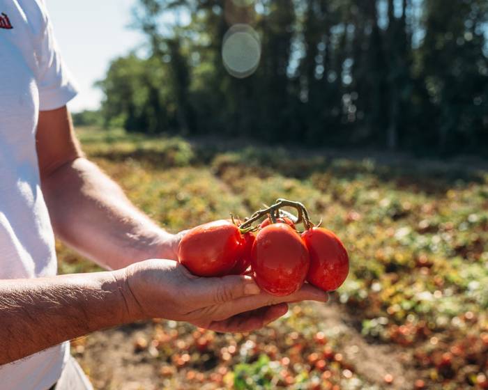 Demos la palabra a los agricultores
