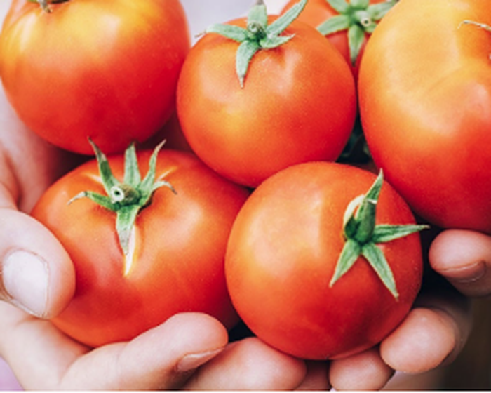 Freshness, color and taste: the Pomì tomato is the king of the summer