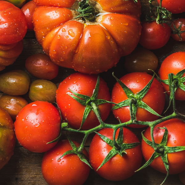 Risottos al tomate: confort y creatividad en cada cucharada