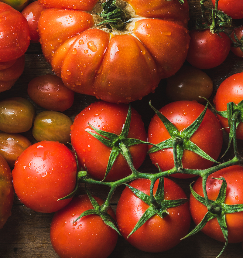 Risottos al tomate: confort y creatividad en cada cucharada