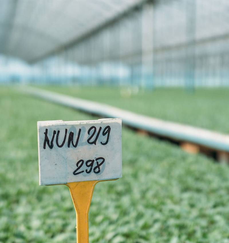 Agricultores y Agrónomos de Pomì: un dúo perfecto