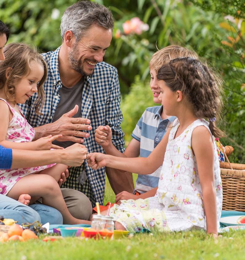 The perfect picnic!