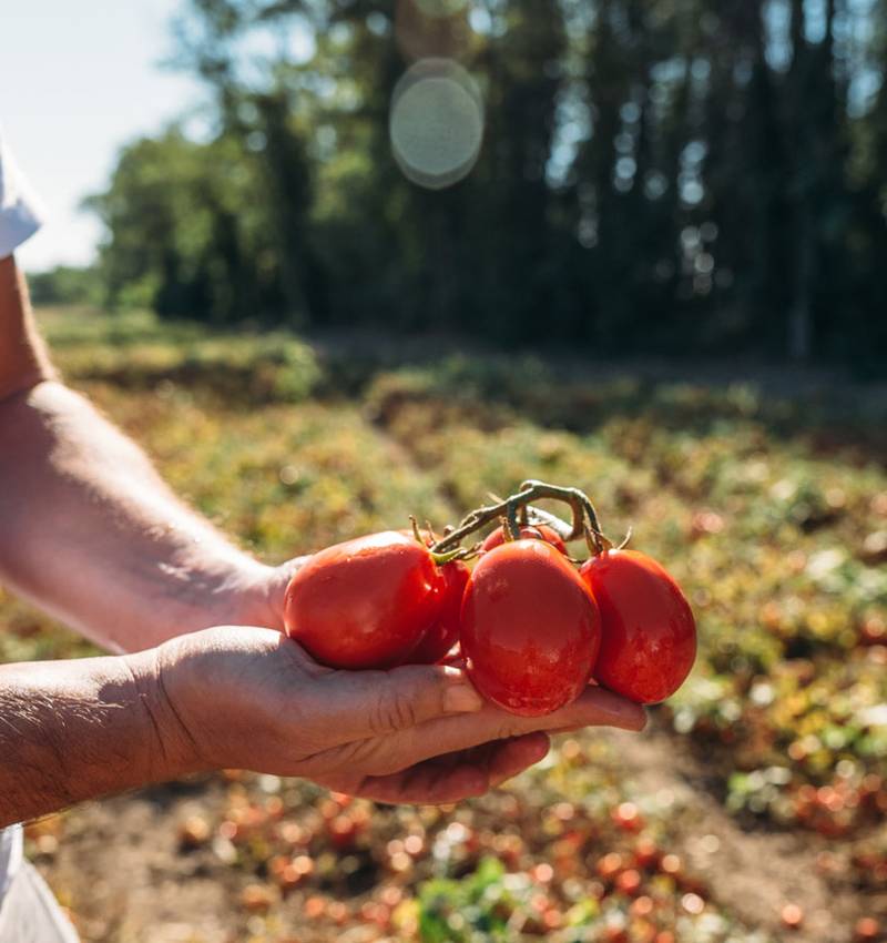 Demos la palabra a los agricultores