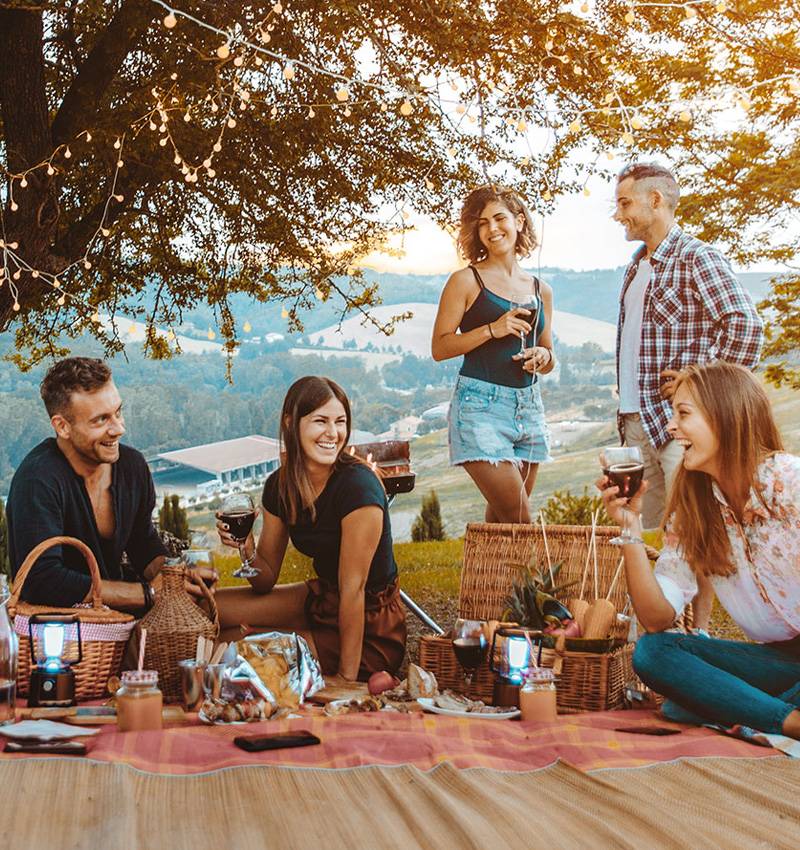 Sustainable picnic