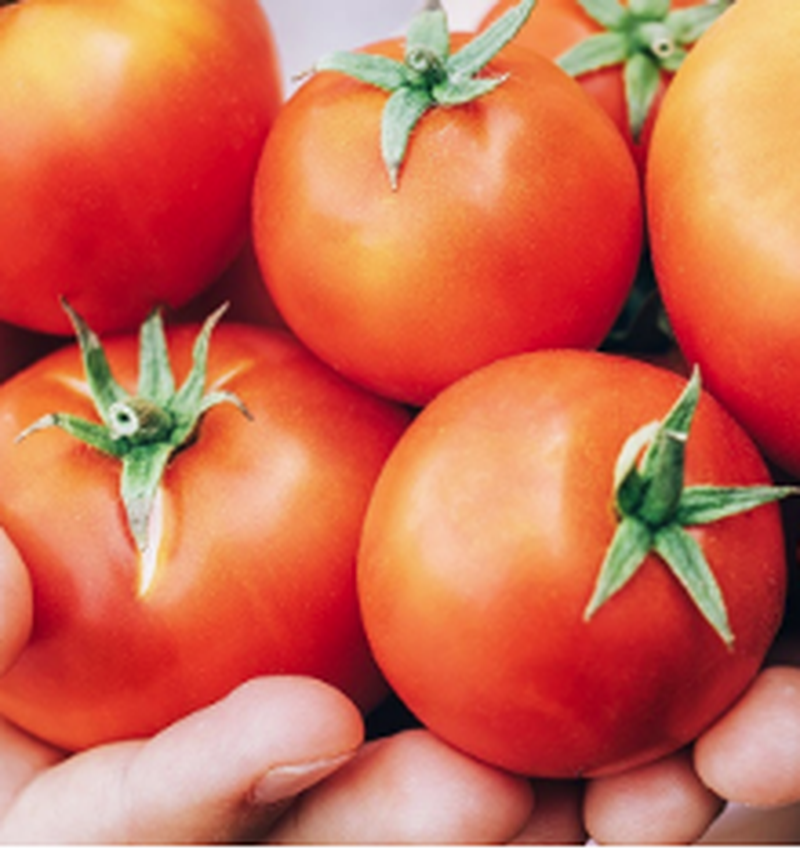 Frescura, color y exquisitez: el tomate Pomì es el rey del verano