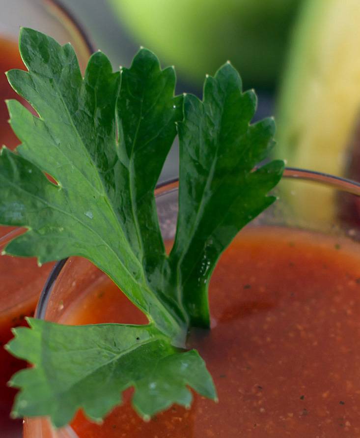 Tomato, ginger and carrot Centrifuge
