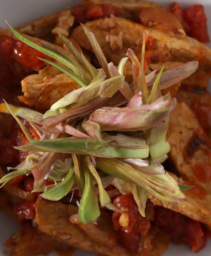 Tempeh with Artichokes and Stewed onions