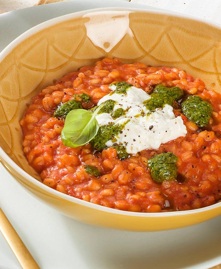 Orzotto de tomate con burrata y salsa de albahaca